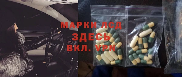 хмурый Алзамай