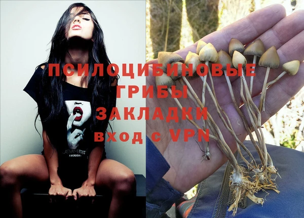 хмурый Алзамай