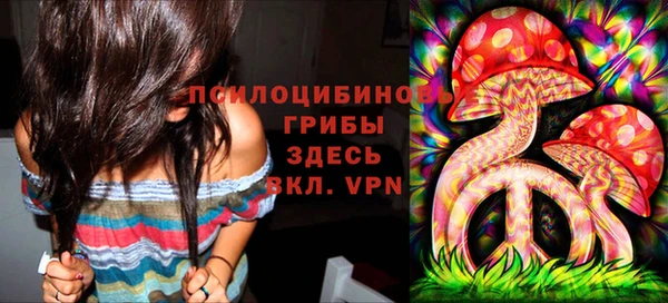 хмурый Алзамай