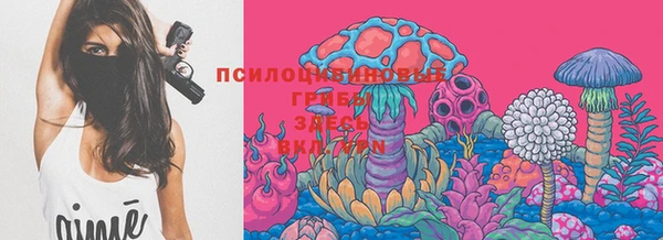 хмурый Алзамай