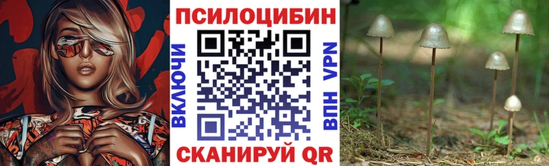 Галлюциногенные грибы мухоморы Шумиха